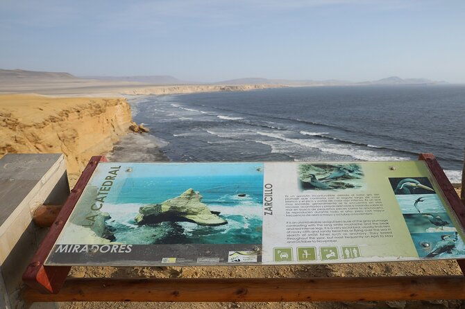 paracas-national-reserve-half-day-tour