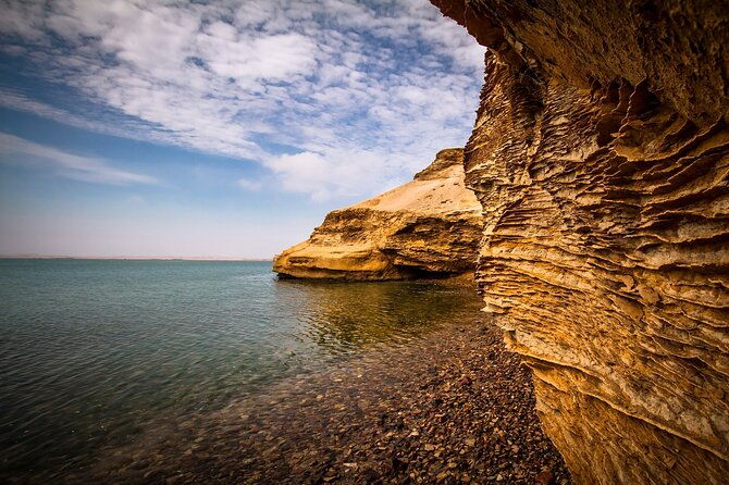 paracas-national-reserve-half-day-tour