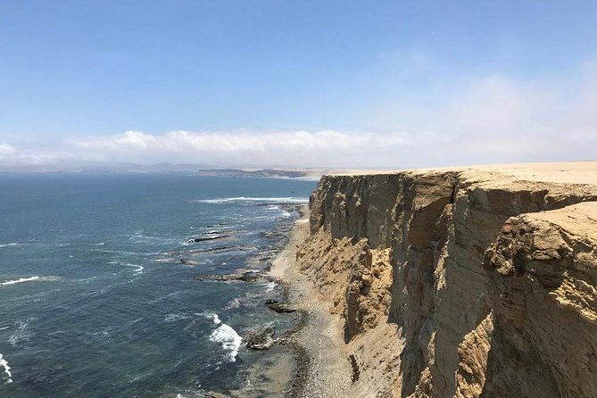 paracas-national-reserve-private-tour-from-paracas-or-pisco