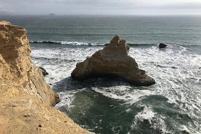 paracas-national-reserve-private-tour-from-paracas-or-pisco