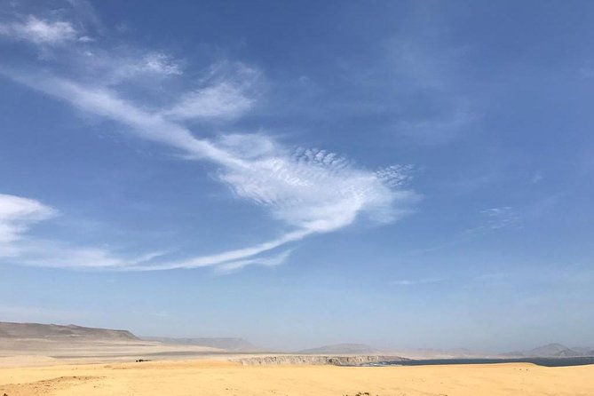 paracas-national-reserve-private-tour-from-paracas-or-pisco