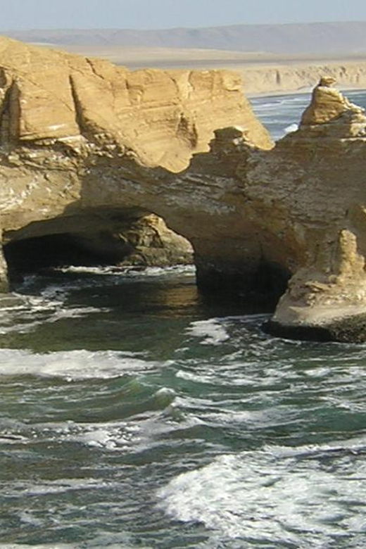 paracas-national-reserve-tour-3
