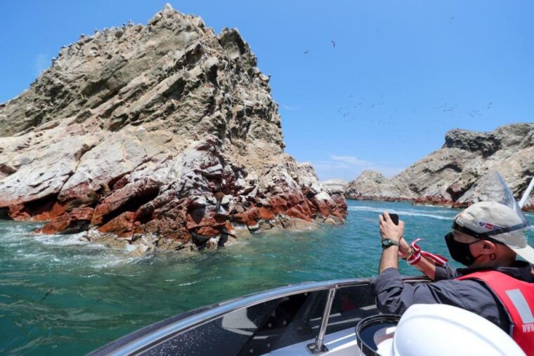 paracas-observation-of-marine-fauna-in-ballestas-islands