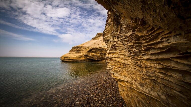 paracas-paracas-national-reserve-half-day-tour