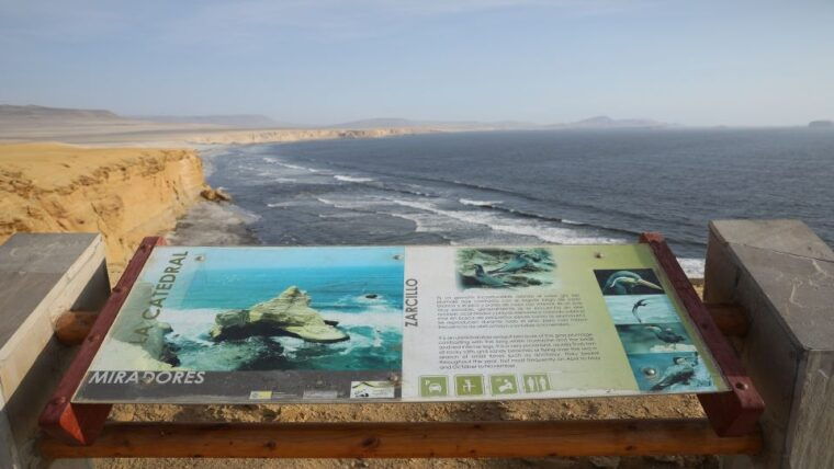 paracas-paracas-national-reserve-half-day-tour