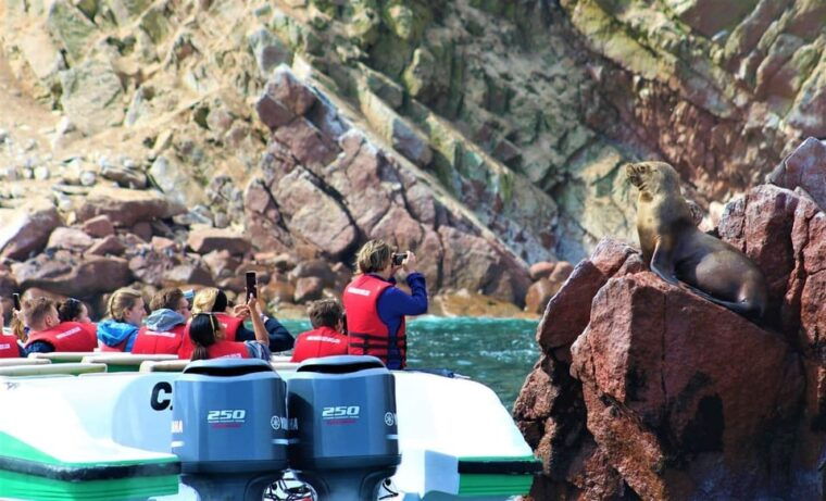 paracas-speedboat-ballestas-islands-tour