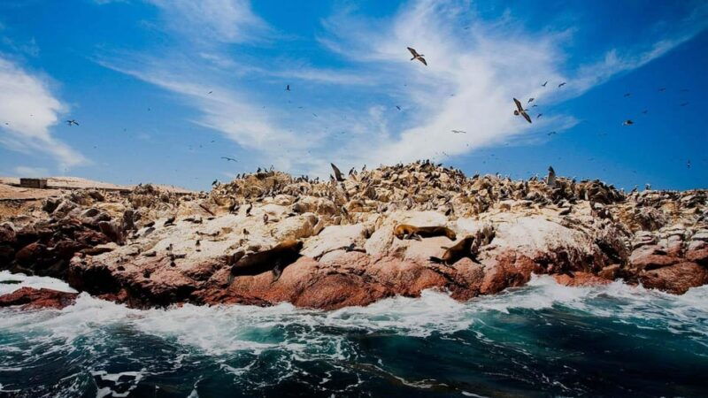 paracas-sunset-trekking-in-the-paracas-national-reserve-3