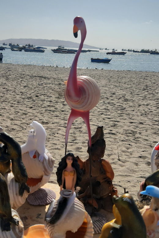 paracas-tours-to-ballestas-islands-by-speed-boat