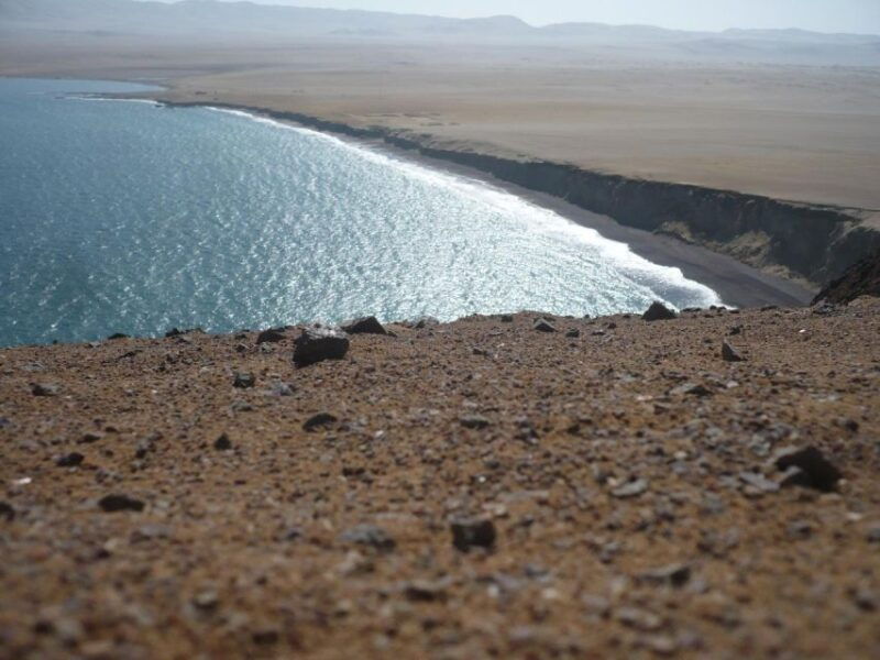 paracasprivate-tours-paracas-national-reserve-all-inclusive