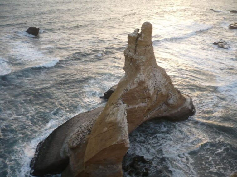 paracasprivate-tours-paracas-national-reserve-all-inclusive