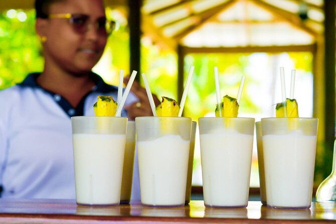 paradise-and-pigs-full-day-excursion-from-puerto-plata-with-lunch