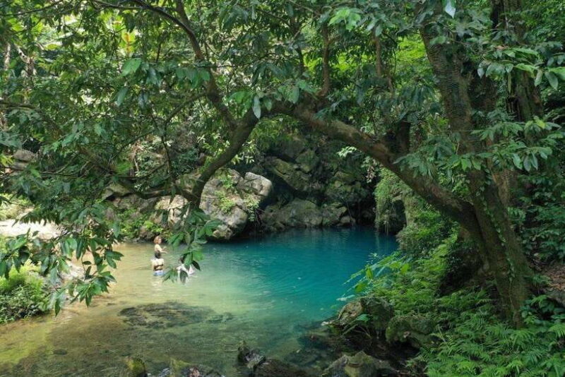 Paradise Cave and Phong Nha Cave Day Trip - Key Points