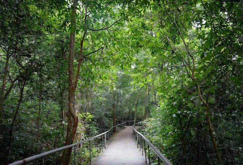 Paradise Cave Day Trip from Hue - What to Bring & Practical Tips