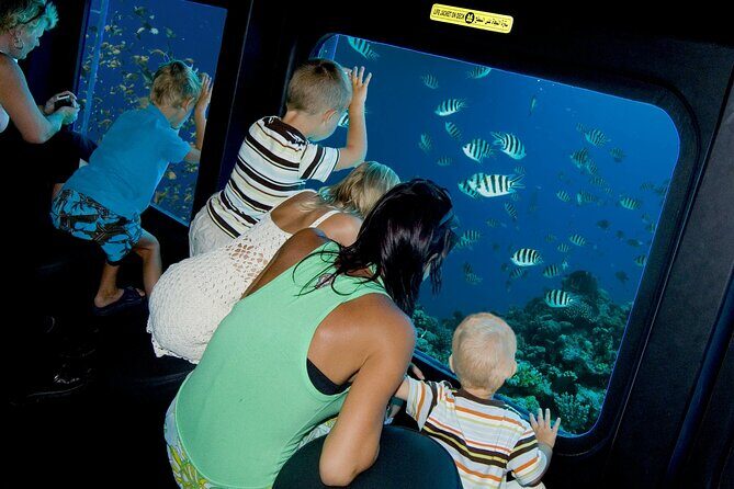 Paradise conquest snorkelling & underwater life adventure - Ease and Convenience of Booking