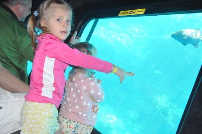 Paradise conquest snorkelling & underwater life adventure - Price and Value