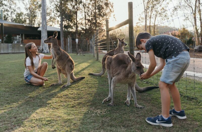 Paradise Country: Ultimate Aussie Farm Experience - Key Points