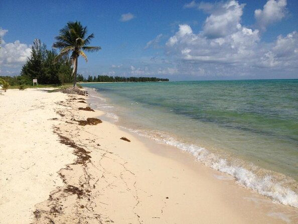 paradise-cove-day-pass-with-pickup-from-freeport