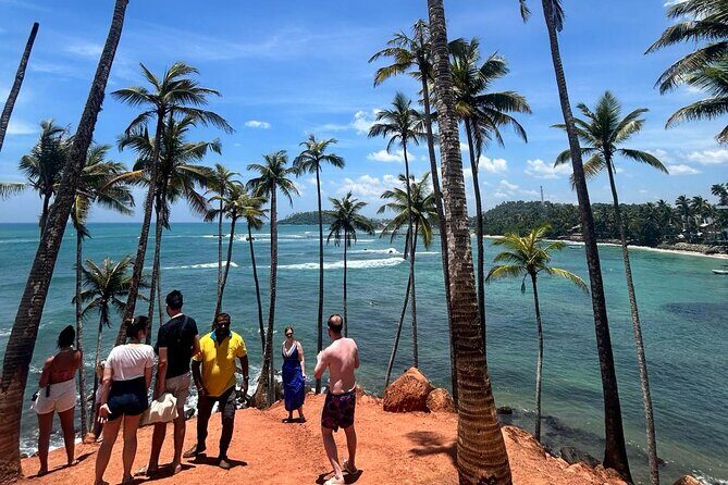 Paradise Galle Day Tours - What the Tour Involves: A Detailed Breakdown