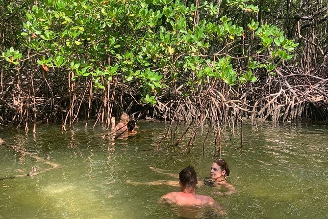 paradise-island-cruise-snorkeling-excursion