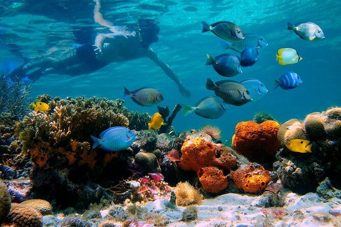 paradise-island-punta-rucia