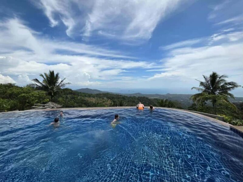 Paradise Park Farm Entry Ticket with Transfer - Key Points