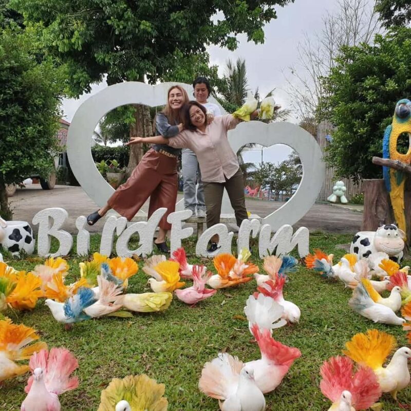 Paradise Park Farm Entry Ticket with Transfer - What to Expect from Your Visit to Paradise Park Farm