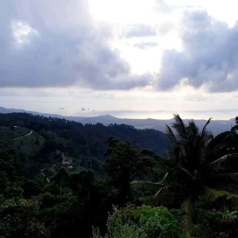 Paradise Park Farm Entry Ticket with Transfer - The Overall Value and Unique Features