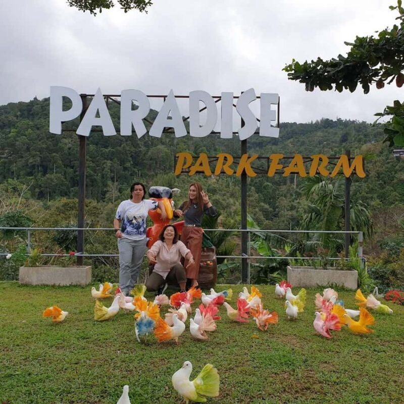 Paradise Park Farm Entry Ticket with Transfer - Final Thoughts: Is It Worth It?