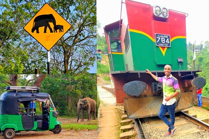 Paradise Sigiriya,Kandy,Nuwara eliya,Ella(Udawalawe/Yala)Tours - Final Thoughts