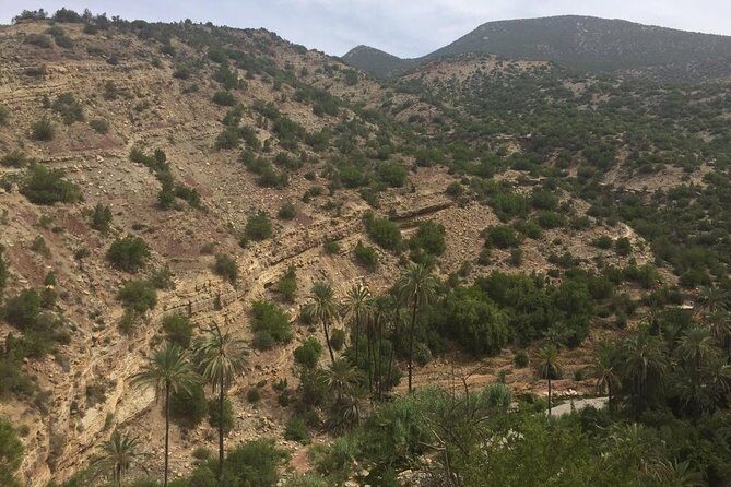 Paradise Valley - Atlas Mountain - Final Thoughts: Who Is This Tour Best For?