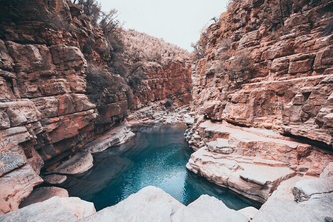 Paradise Valley & Atlas Mountains Adventure with optional LUNCH - Exploring the Paradise Valley & Atlas Mountains: A Practical Review