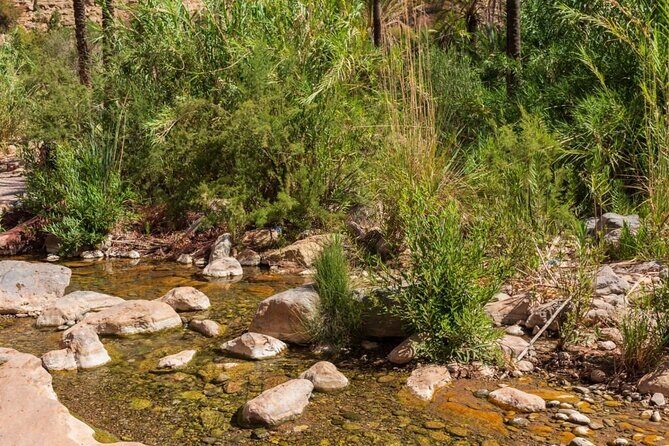Paradise Valley & Atlas Mountains Adventure with optional LUNCH - FAQ