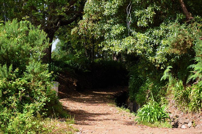 paradise-valley-beauty-walk
