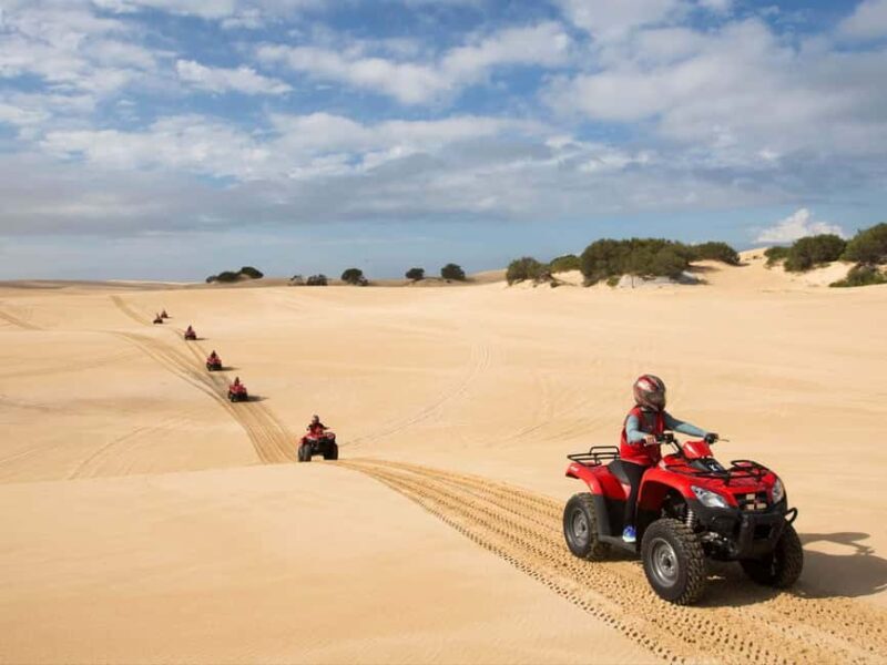 Paradise Valley & Desert Dunes with Camel Ride and quad bike - Camel Ride: A Tranquil Desert Experience