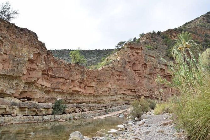 Paradise Valley excursion + local Breakfast + berber Market - Practical Details and Logistics