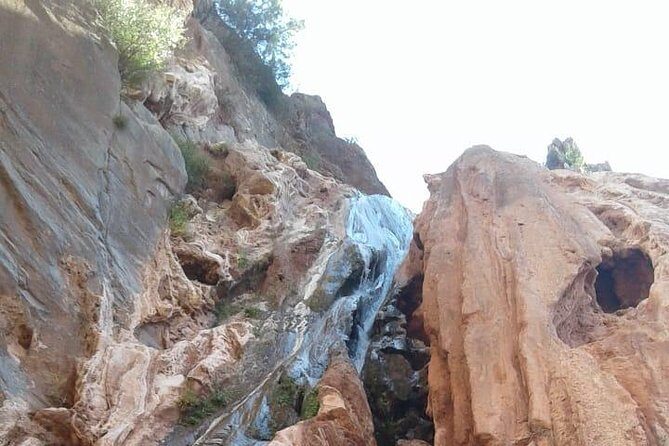 Paradise Valley excursion + local Breakfast + berber Market - Insights from Reviewers