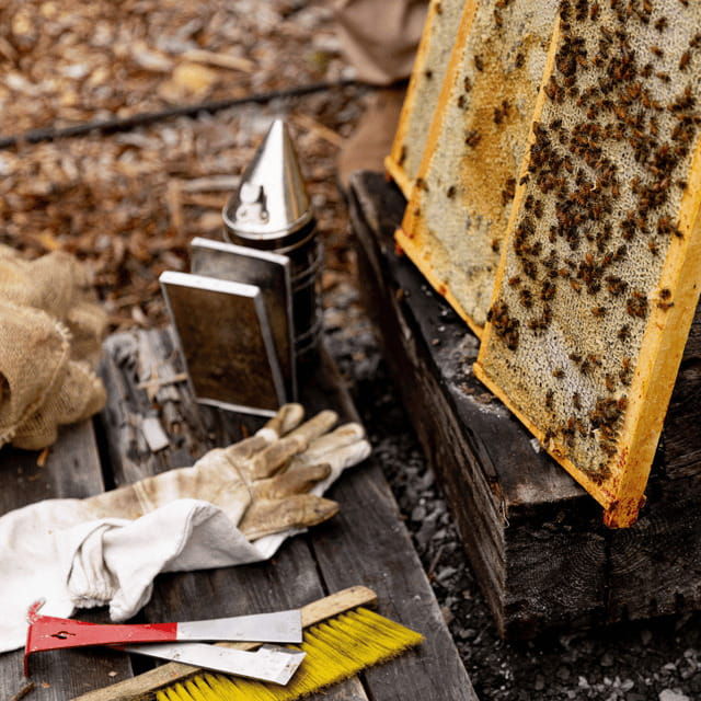 paradise-valley-guided-apiary-tour-meet-the-pollinators