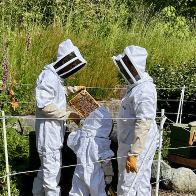 paradise-valley-guided-apiary-tour-meet-the-pollinators