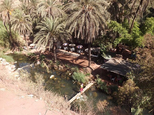 Paradise valley half day from Agadir - Final Thoughts: Is It Worth It?