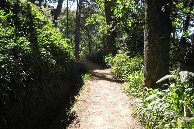 paradise-valley-levada-walk