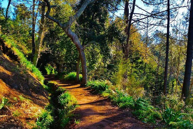 paradise-valley-levada-walk