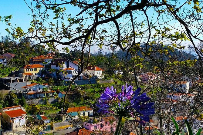 paradise-valley-levada-walk