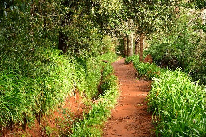 paradise-valley-madeira-island-walk