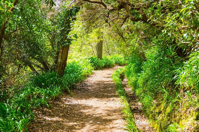 paradise-valley-madeira-island-walk