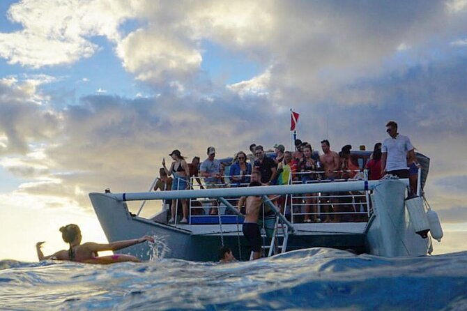 paradise-waikiki-sunset-cruise-live-dj-swimming