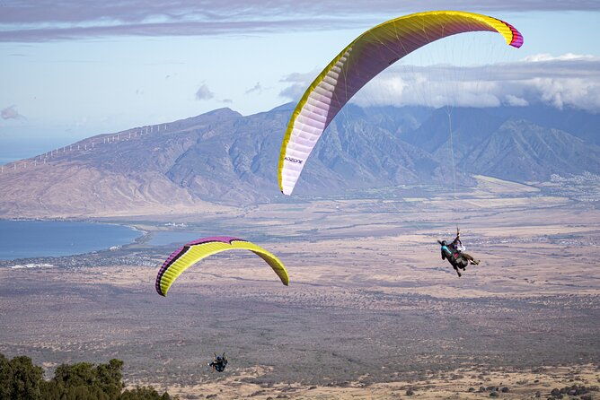 paraglide-mauis-1k-tandem-paragliding-experience