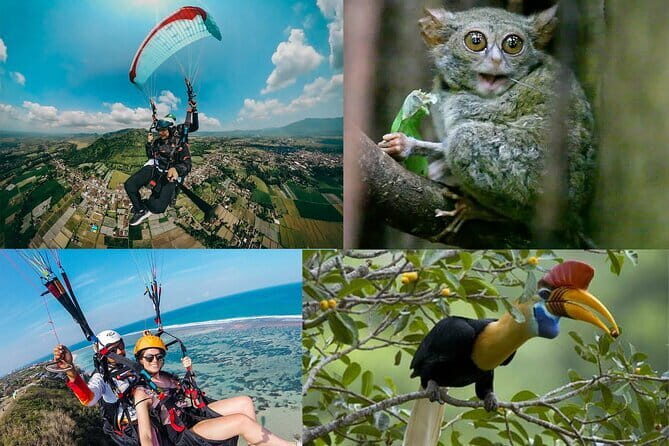 Paragliding and Rafting including lunch and pickup - Who Should Consider This Tour?