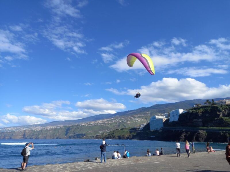 Paragliding from Puerto de la Cruz or Teide (day/sunset) - Key Points