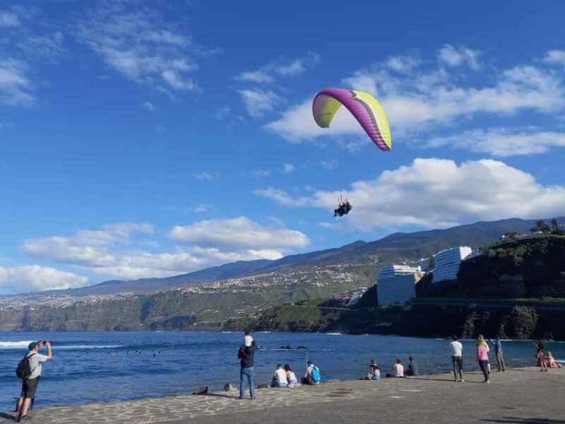 Paragliding from Puerto de la Cruz or Teide (day/sunset) - What Reviewers Say
