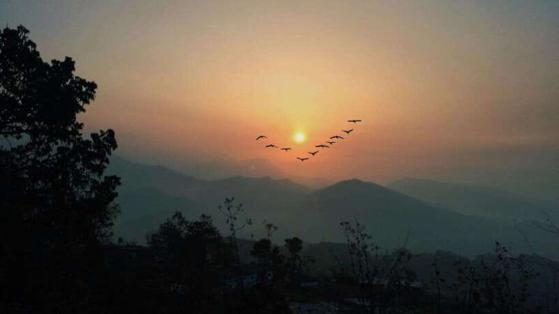 paragliding-in-pokhara-ultimate-aerial-adventure-awaits
